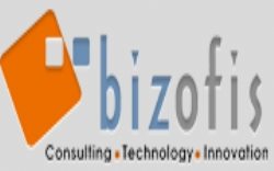 Bizofis Consulting