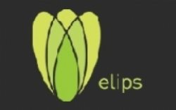 Elips Tv