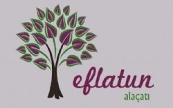 Eflatun Otel