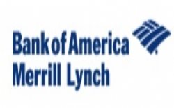 Merrill Lynch Yatırım Bank A.ş.