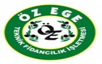 Özege Teknik Fidancılık