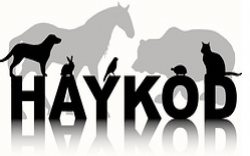 HAYKOD - Havyvanları Koruma Derneği