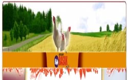 Başak Tavukçuluk Gıda Üretim Pazarlama Nakliyat Sanayi Ve Ticaret Ltd. Şti. 