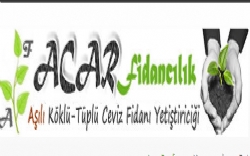 Acar Fidancılık