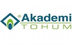 Akademi Tohum