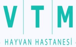 Ankara Veterine Tıp Merkezi | VTM Pet Hospital