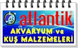 Atlantik Akvaryum Ve Kuş Malzemeleri