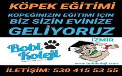 BOBİ KOLEJİ