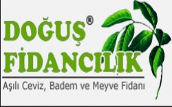 Doğuş Fidancılık