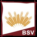 Başak Sanat ve Kültür Vakfı - BSV