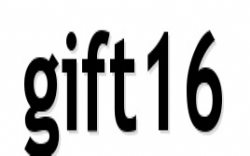 gift16