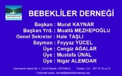 Bebekliler Derneği