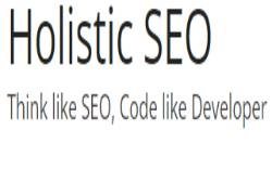 Holistic Seo Digital