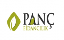 Panç Fidancılık