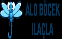 Alo Böcek İlaçla