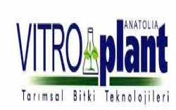 Vitroplant Tohum-Fidan Tarımsal Üretim Ltd. Şti.